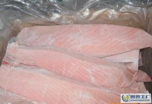 熱銷大目金槍魚 冰鮮鮮活水產批發的市場機遇