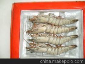 優質鮮活龍蝦與水產批發，廠家直銷保障品質