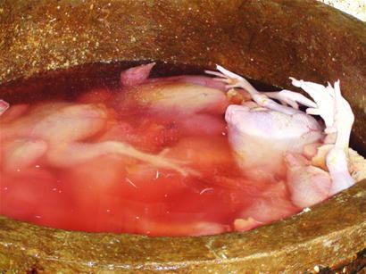 病死雞變白條 食品安全隱患與市場亂象