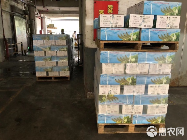 港洋南美白蝦 從深海到餐桌的品質(zhì)之旅