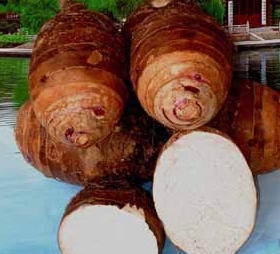 綠色農(nóng)產(chǎn)品大老粗芥末香芋粒 口感獨(dú)特的健康零食