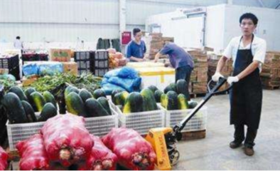 農產品配送中心 土特產流通的樞紐與建造指南